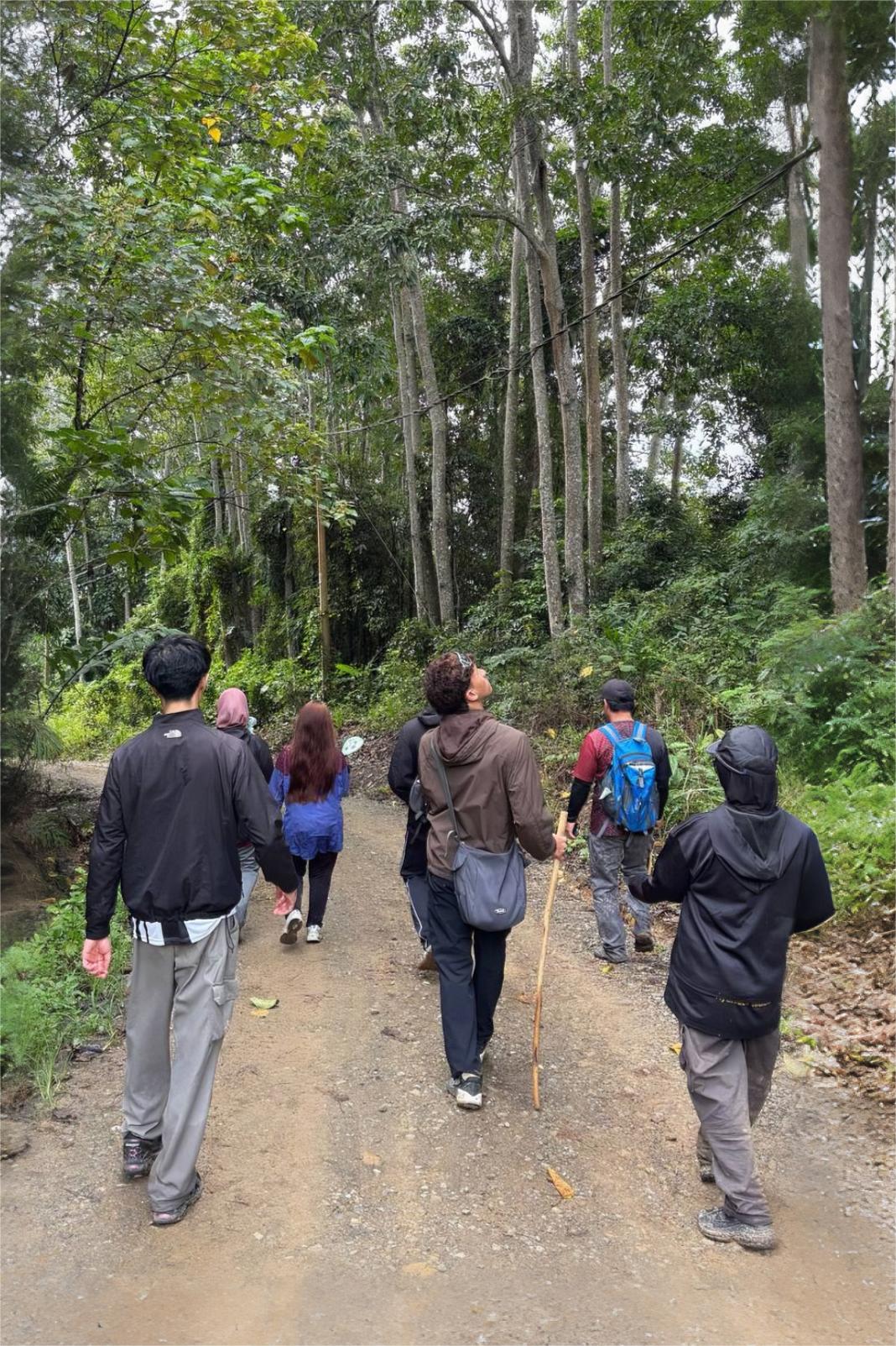 Hiking / Trekking