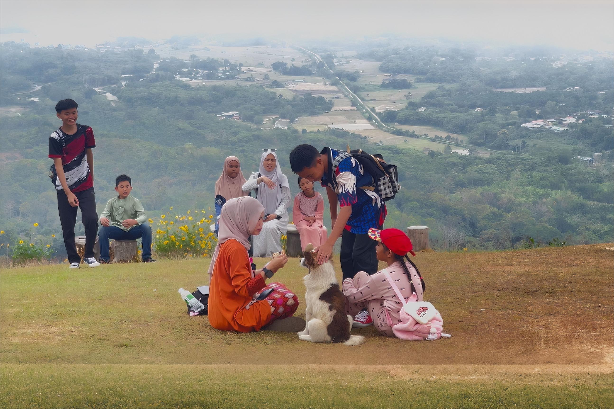 Picnic